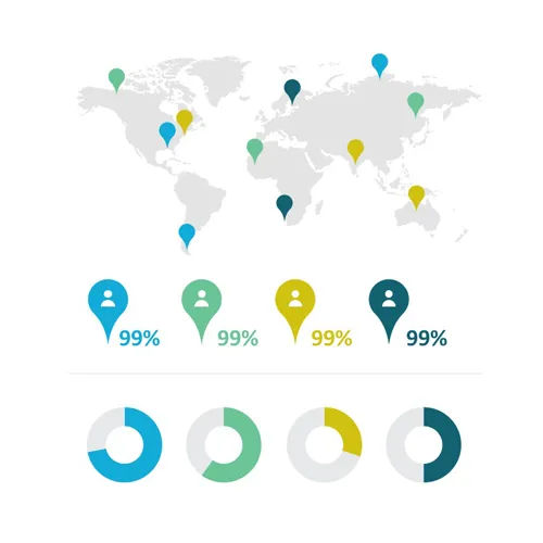 Statistical infographic example